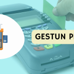 Gestun Pro
