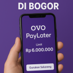 Gestun OVO PayLater di Bogor : Pengertian, Risiko, dan Alternatif Aman